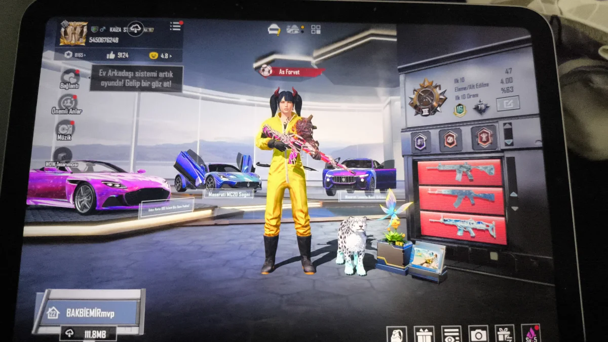 Pubg bebek hesap 79 koleksiyon